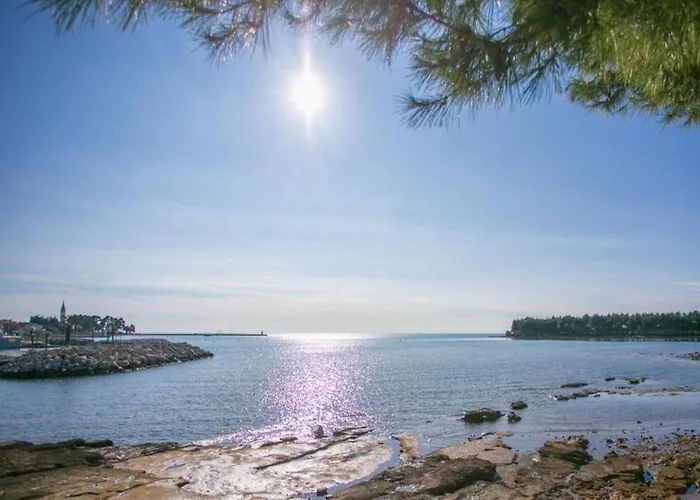 Villa In Istria With Sea View & Bubble Bath Karigador